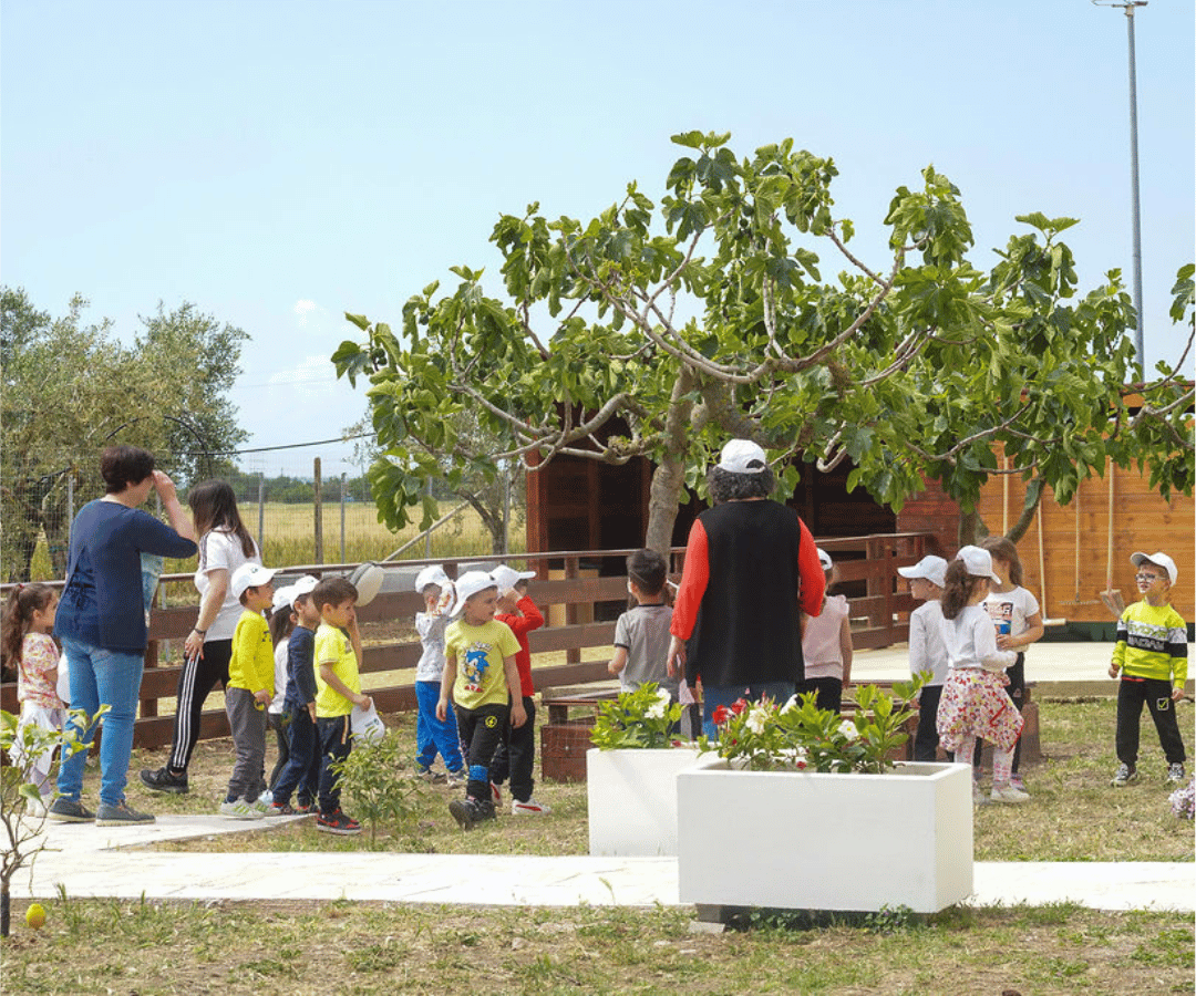 fattoria didattica apricena foggia - agricola leggieri