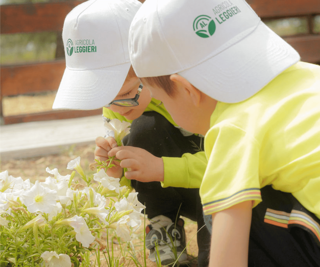 fattoria didattica apricena foggia - agricola leggieri